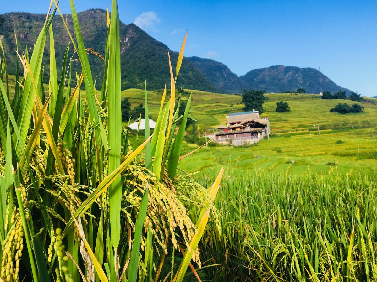 Hoa'S Homestay Sapa Zewnętrze zdjęcie