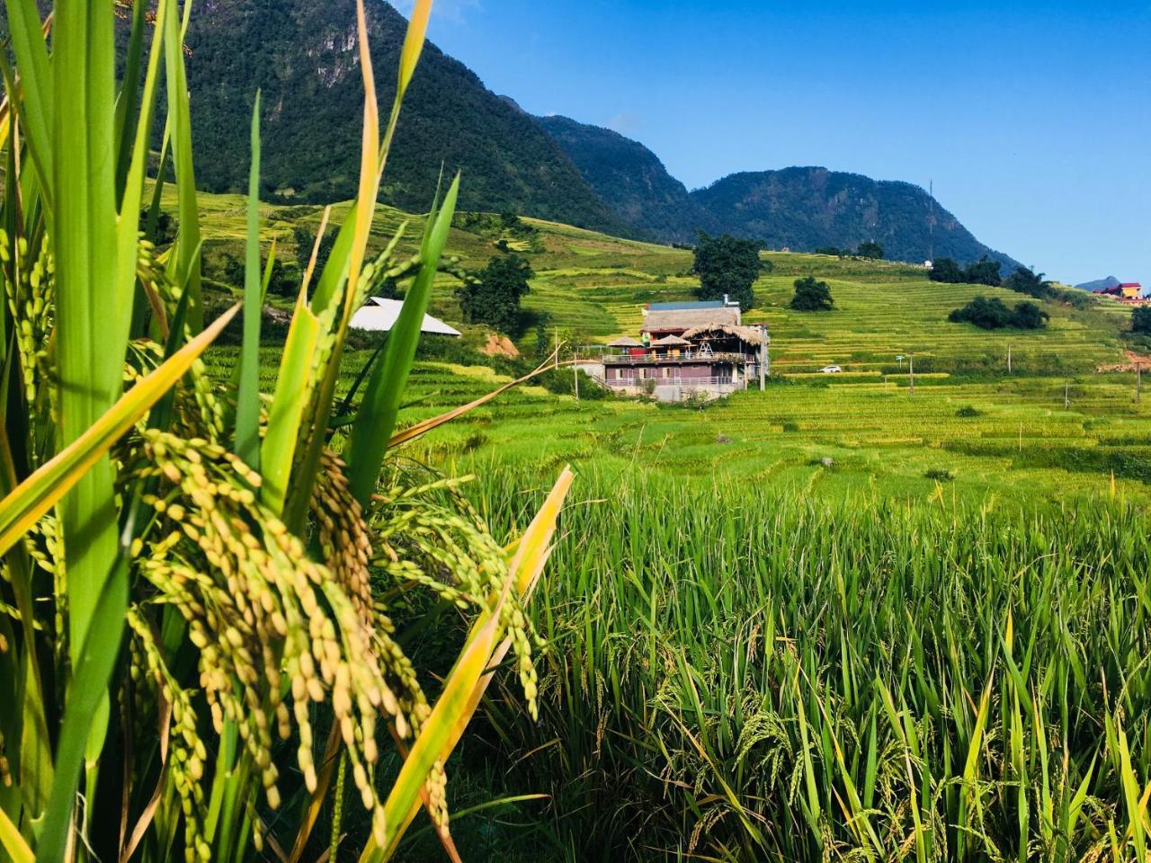 Hoa'S Homestay Sapa Zewnętrze zdjęcie